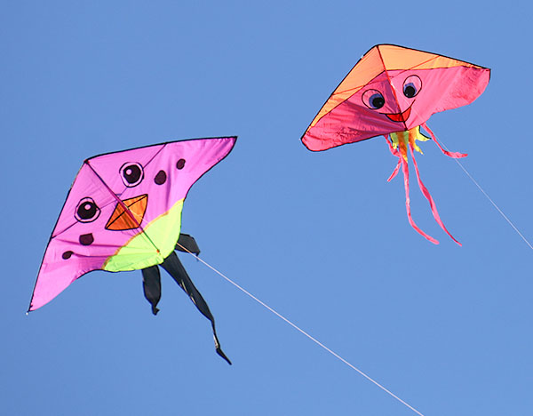 Kites in the sky for the Brookings Kite Festival