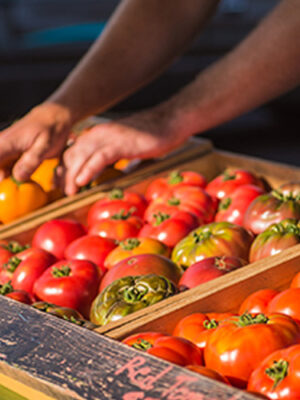 Winter Farmers Market