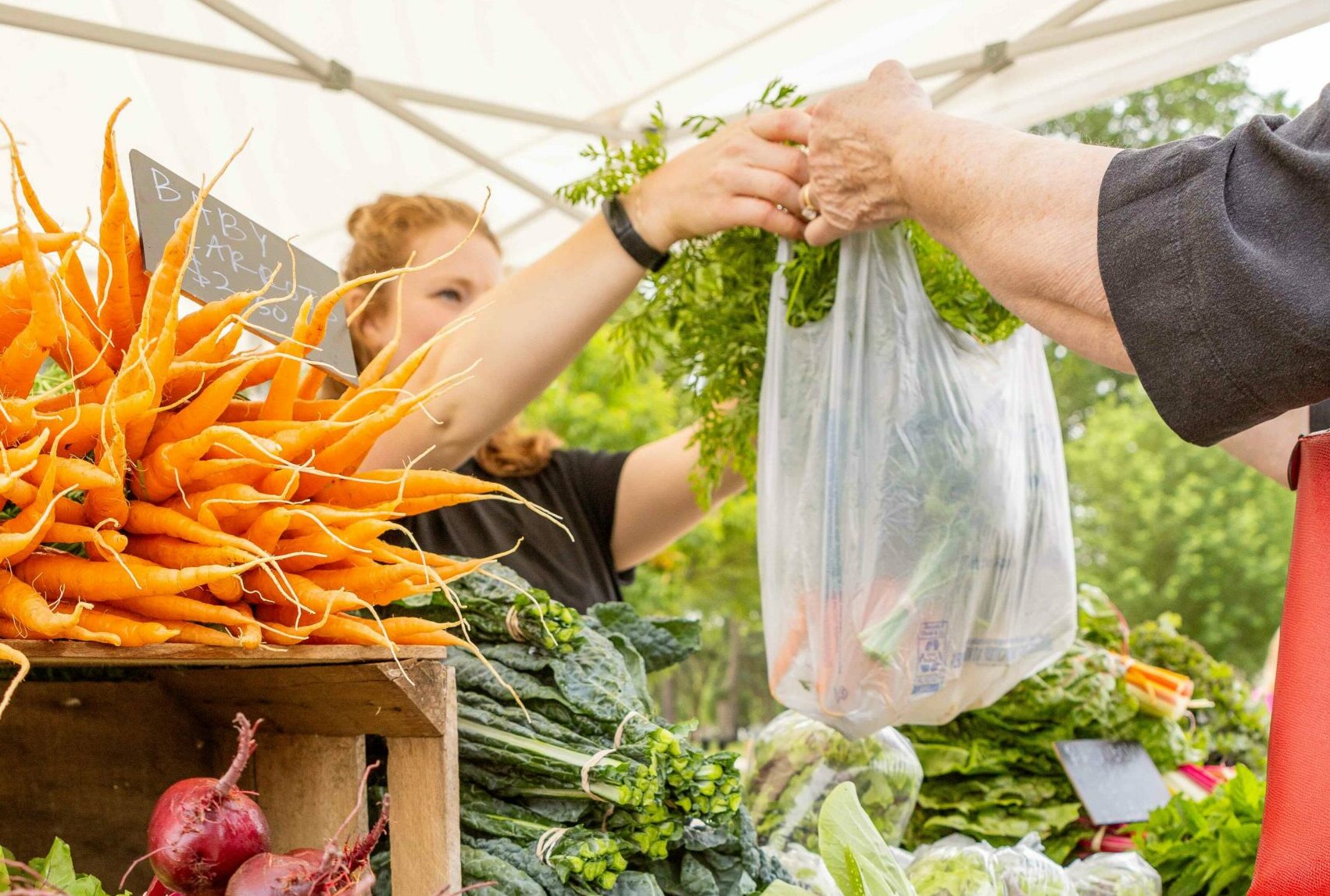 Buy Fresh, Buy Local at the Brookings Farmers Market