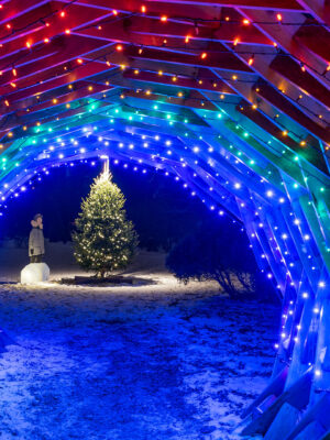 Santa visits McCrory Gardens