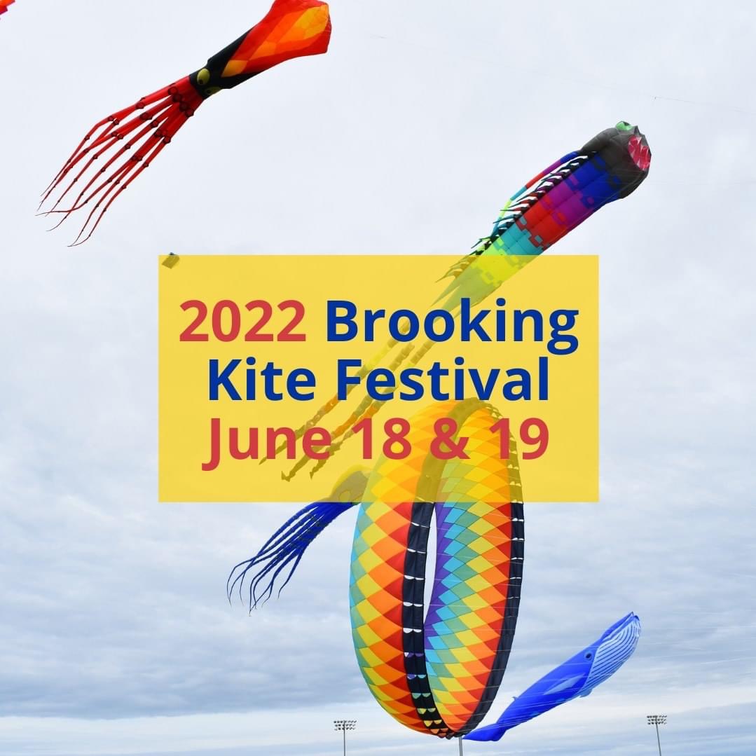 Brookings Kite Festival