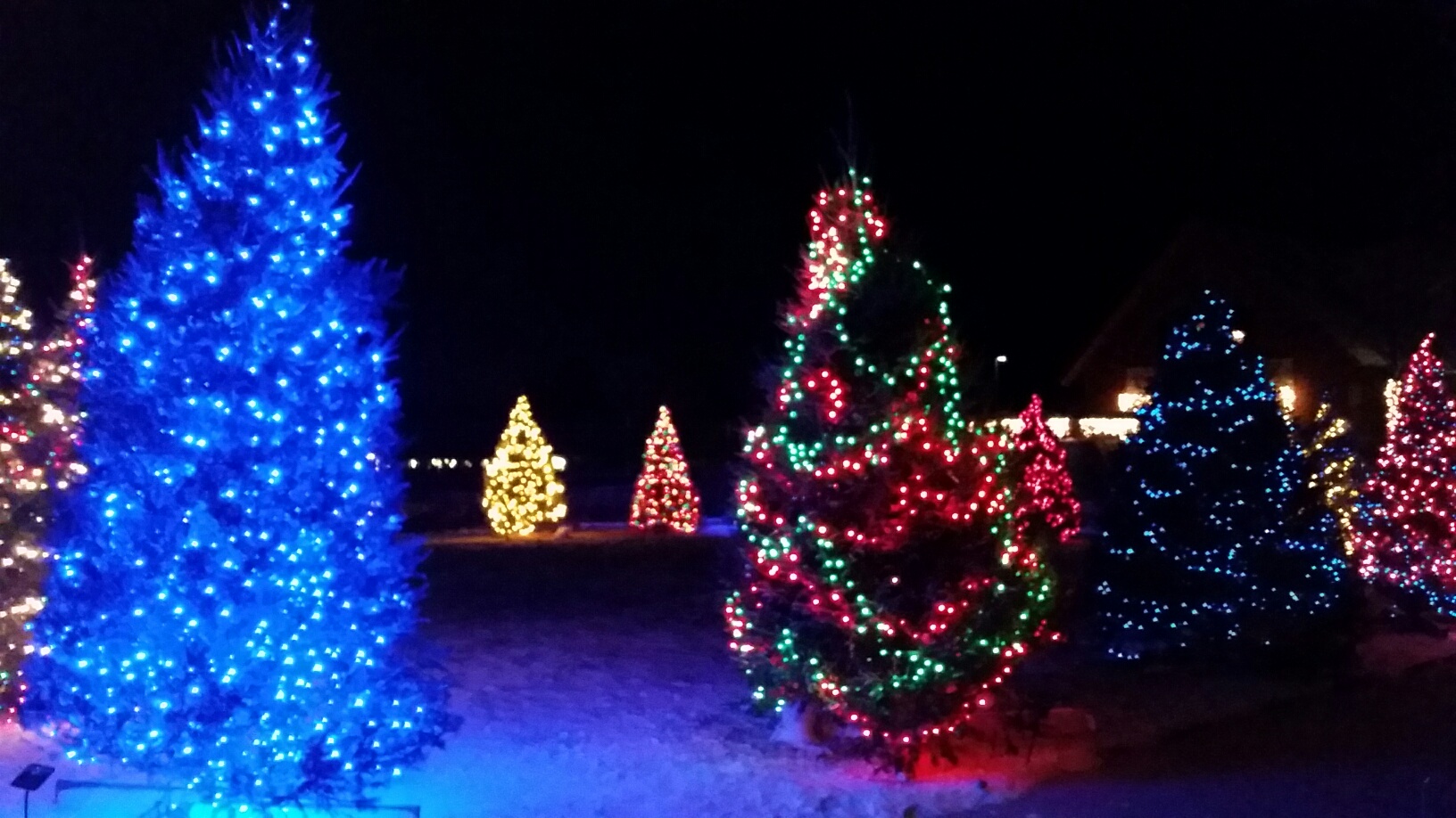 Garden Glow Opening Night Visit Brookings