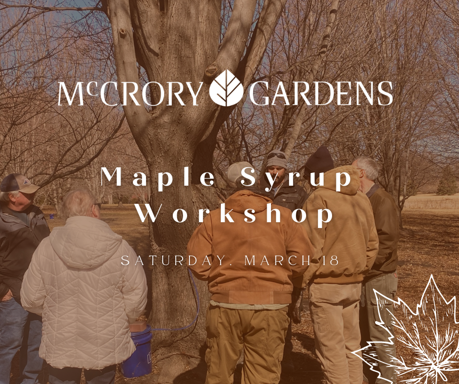 McCrory Maple Syrup Workshop