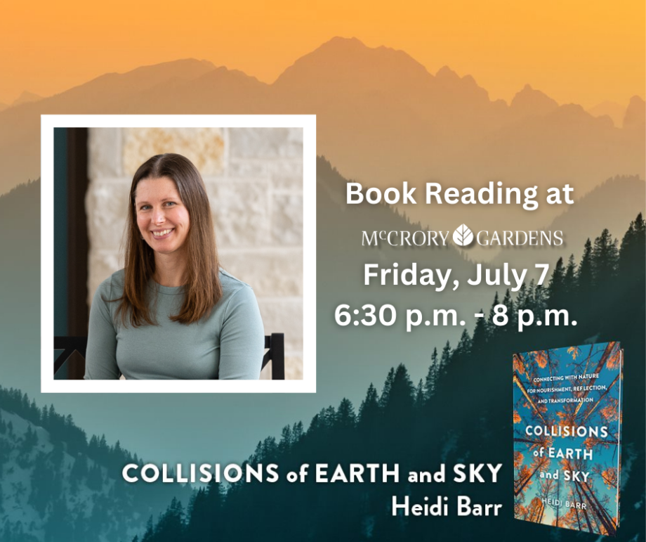 Book Reading of Collisions of Earth and Sky by Heidi Barr