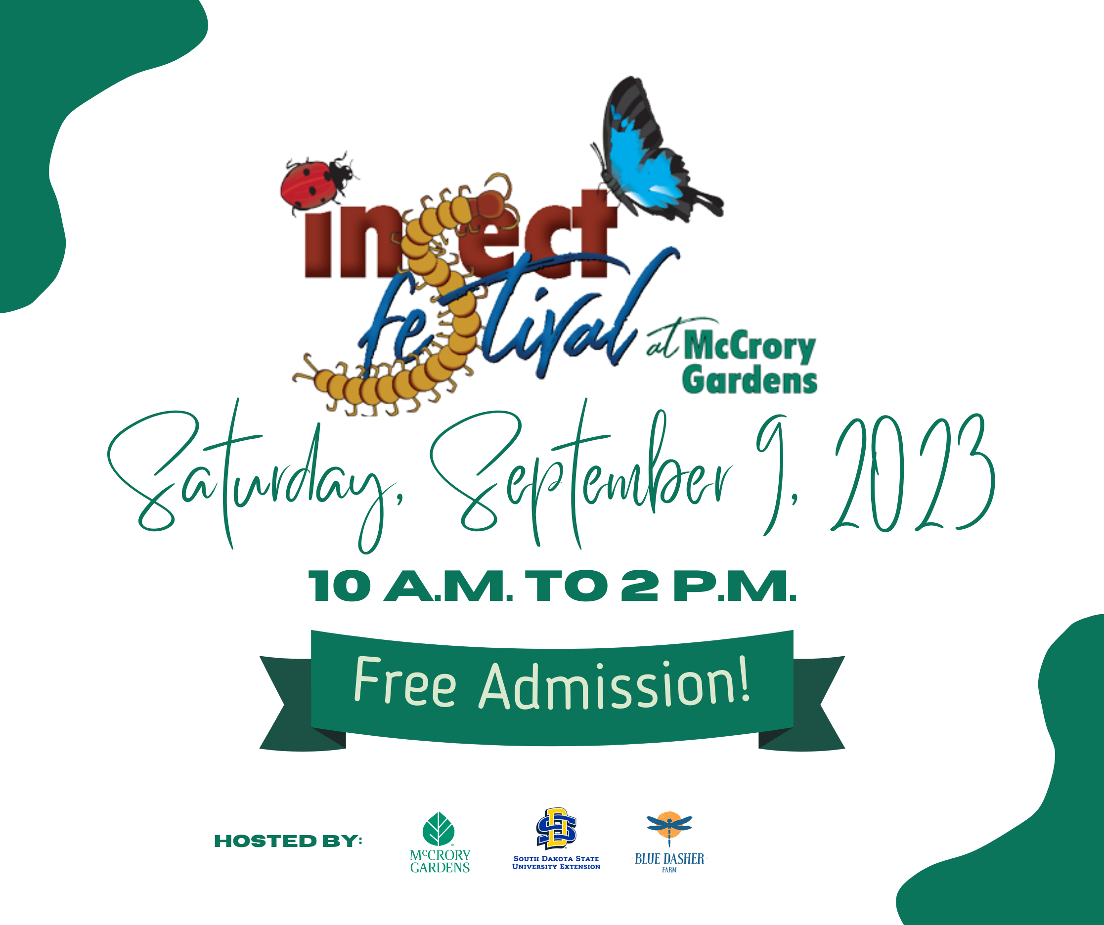 Insect Festival