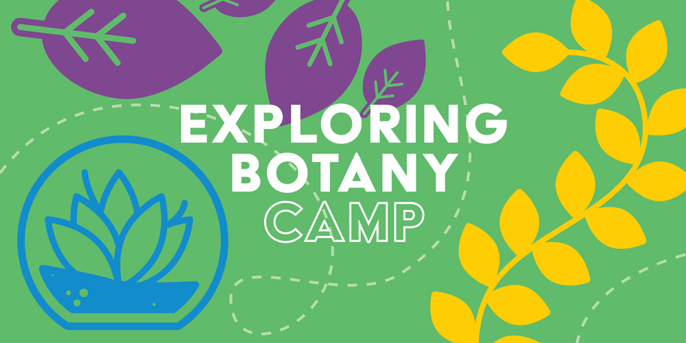 School Break Camp: Exploring Botany