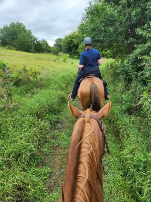 Guided Horseback Trail Ride