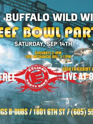 Beef Bowl Party