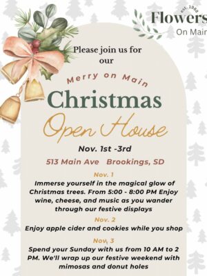 Merry on Main Christmas Open House