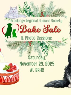 BRHS Bake Sale & Photo Sessions Fundraiser