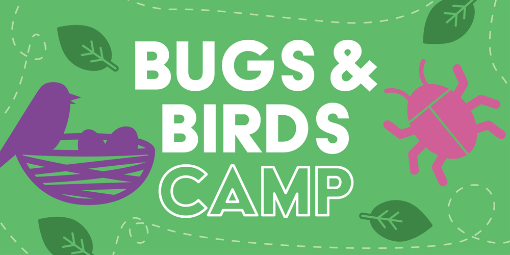 Bugs & Birds Camp