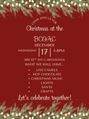Christmas at the BCOAC