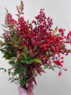 Winter Floral Arrangements with Hand Tied