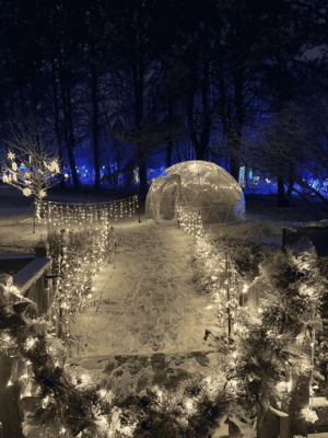 Garden Glow Reignited!