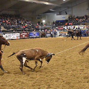 SDSU Stampede Rodeo - Brookings