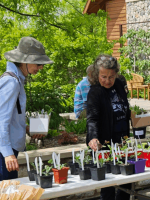 Garden Discovery Festival