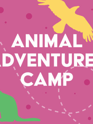 Animal Adventures Multiday Camp
