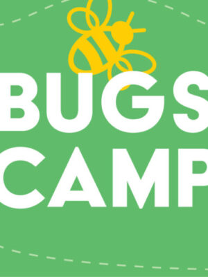 Bugs Camp