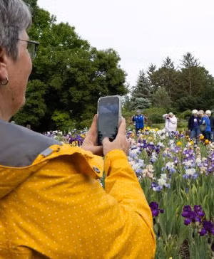 McCrory Gardens Community Days