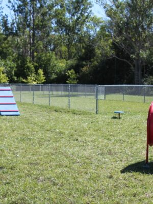 Bark Park