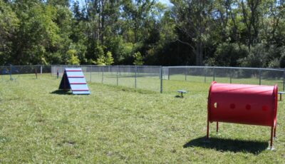 Bark Park